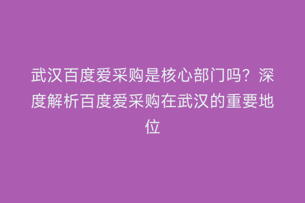 武汉百度爱采购是核心部门吗？深度解析百度爱采购在武汉的重要地位