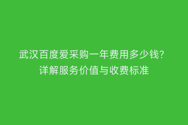 武汉百度爱采购一年费用多少钱？详解服务价值与收费标准