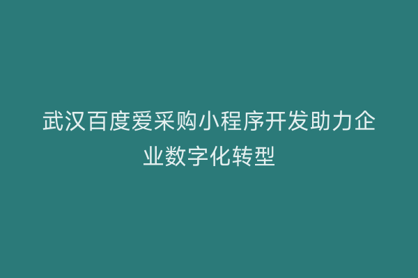 武汉百度爱采购小程序开发助力企业数字化转型