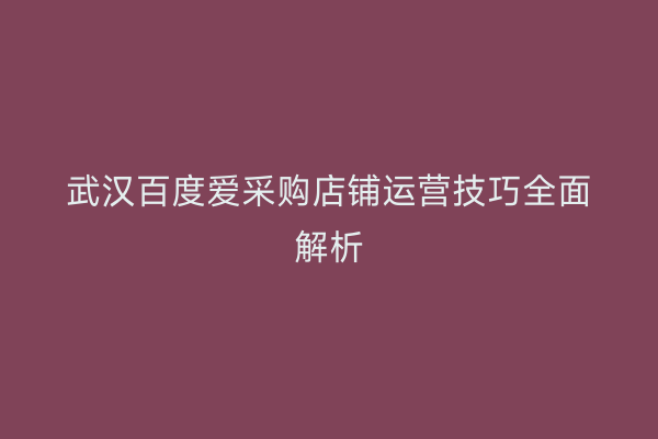 武汉百度爱采购店铺运营技巧全面解析