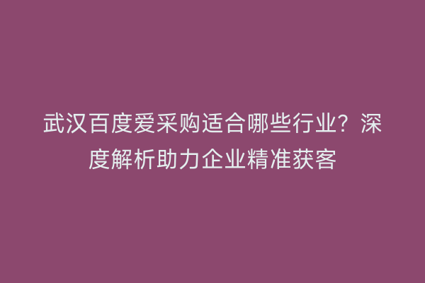 武汉百度爱采购适合哪些行业？深度解析助力企业精准获客