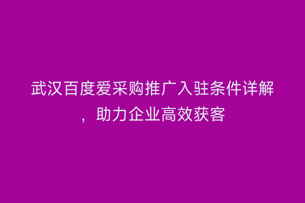 武汉百度爱采购推广入驻条件详解，助力企业高效获客