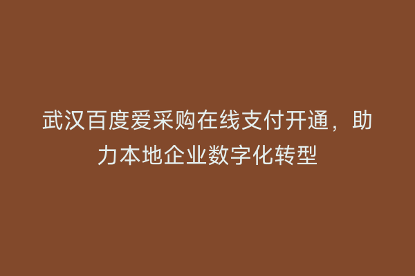 武汉百度爱采购在线支付开通，助力本地企业数字化转型