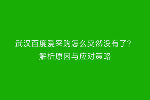 武汉百度爱采购怎么突然没有了？解析原因与应对策略