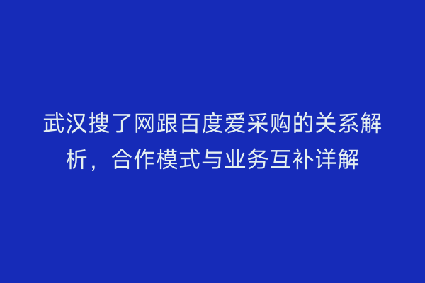 武汉搜了网跟百度爱采购的关系解析，合作模式与业务互补详解
