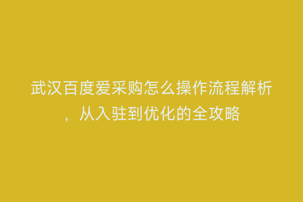 武汉百度爱采购怎么操作流程解析，从入驻到优化的全攻略