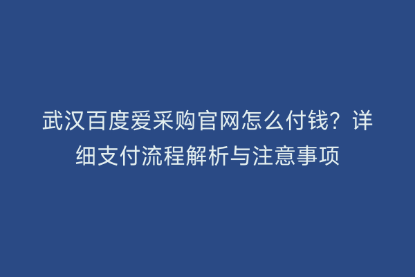 武汉百度爱采购官网怎么付钱？详细支付流程解析与注意事项