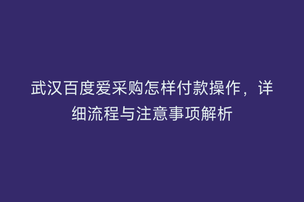武汉百度爱采购怎样付款操作，详细流程与注意事项解析