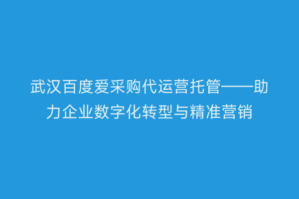 武汉百度爱采购代运营托管——助力企业数字化转型与精准营销