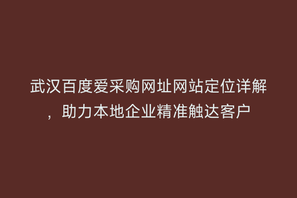 武汉百度爱采购网址网站定位详解，助力本地企业精准触达客户