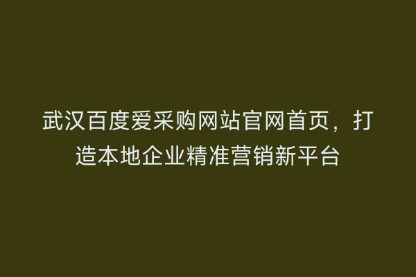 武汉百度爱采购网站官网首页，打造本地企业精准营销新平台