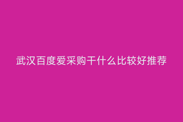 武汉百度爱采购干什么比较好推荐