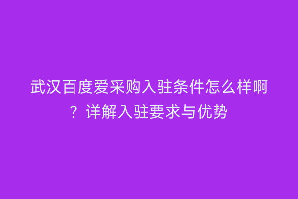 武汉百度爱采购入驻条件怎么样啊？详解入驻要求与优势