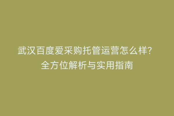 武汉百度爱采购托管运营怎么样？全方位解析与实用指南
