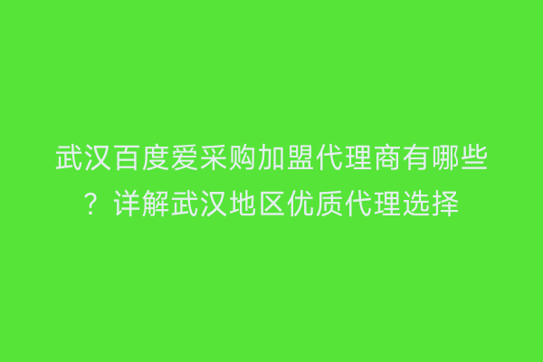 武汉百度爱采购加盟代理商有哪些？详解武汉地区优质代理选择