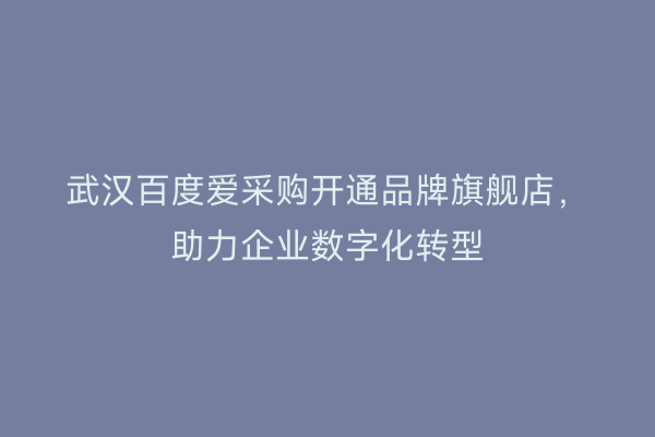 武汉百度爱采购开通品牌旗舰店，助力企业数字化转型