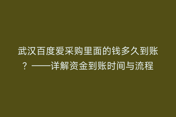武汉百度爱采购里面的钱多久到账?——详解资金到账时间与流程