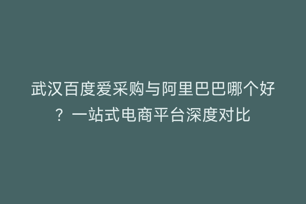 武汉百度爱采购与阿里巴巴哪个好？一站式电商平台深度对比
