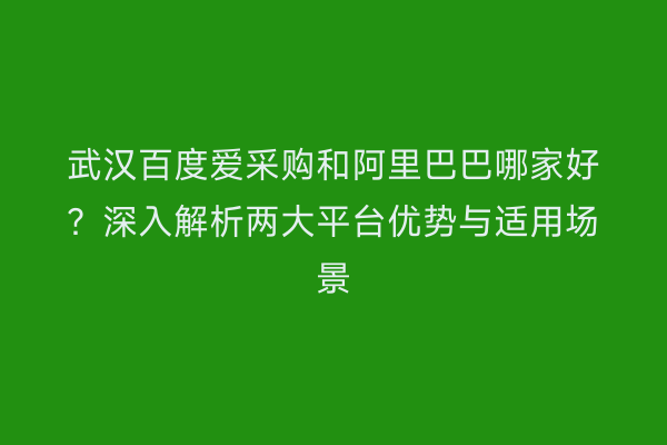 武汉百度爱采购和阿里巴巴哪家好？深入解析两大平台优势与适用场景