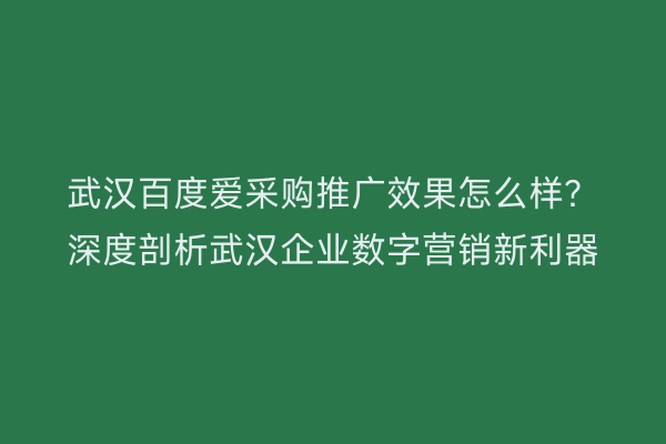 武汉百度爱采购推广效果怎么样？深度剖析武汉企业数字营销新利器