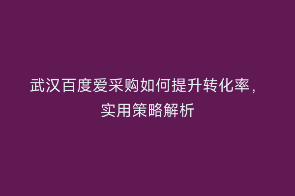 武汉百度爱采购如何提升转化率，实用策略解析