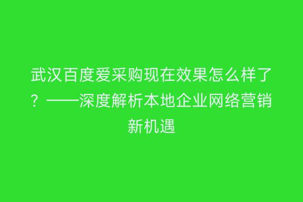 武汉百度爱采购现在效果怎么样了？——深度解析本地企业网络营销新机遇