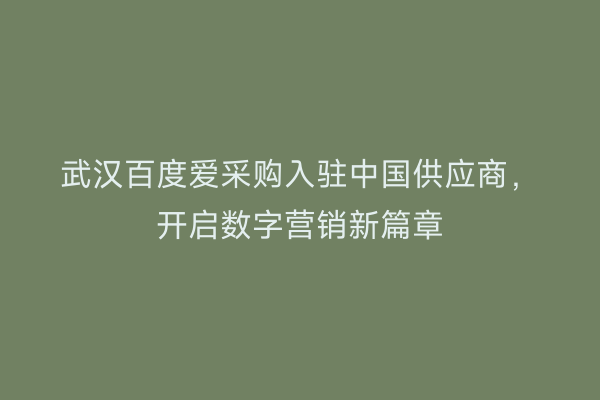 武汉百度爱采购入驻中国供应商，开启数字营销新篇章
