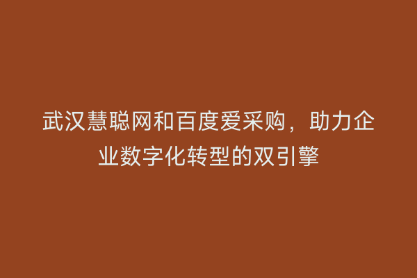 武汉慧聪网和百度爱采购，助力企业数字化转型的双引擎