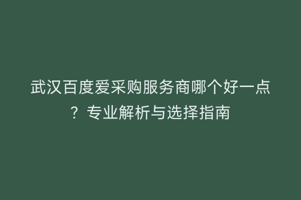 武汉百度爱采购服务商哪个好一点？专业解析与选择指南