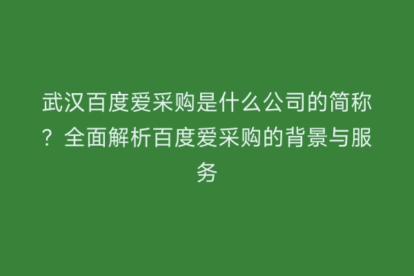 武汉百度爱采购是什么公司的简称？全面解析百度爱采购的背景与服务