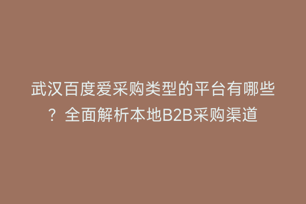 武汉百度爱采购类型的平台有哪些？全面解析本地B2B采购渠道