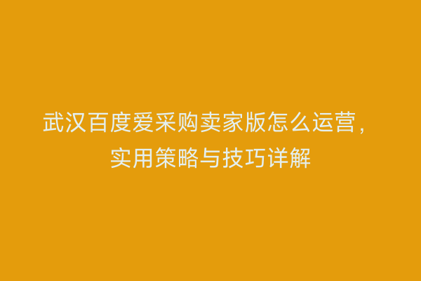 武汉百度爱采购卖家版怎么运营，实用策略与技巧详解
