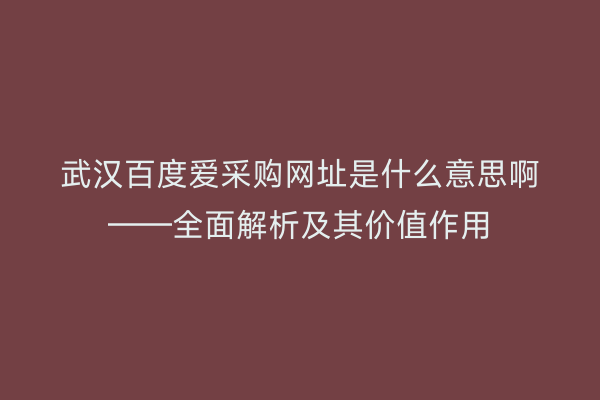 武汉百度爱采购网址是什么意思啊——全面解析及其价值作用
