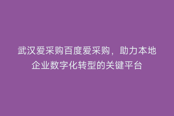 武汉爱采购百度爱采购，助力本地企业数字化转型的关键平台