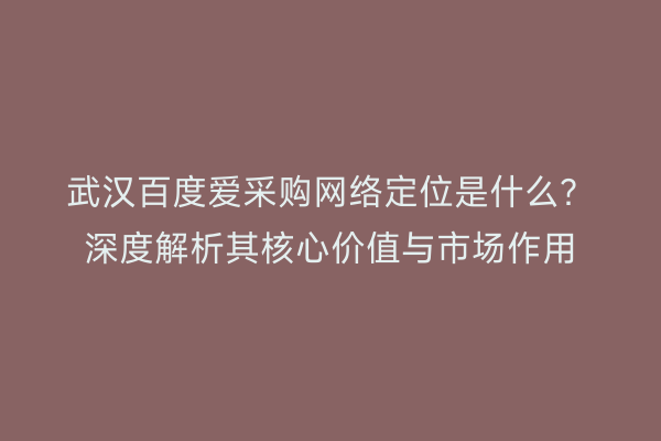武汉百度爱采购网络定位是什么？深度解析其核心价值与市场作用