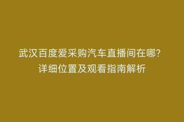 武汉百度爱采购汽车直播间在哪？详细位置及观看指南解析