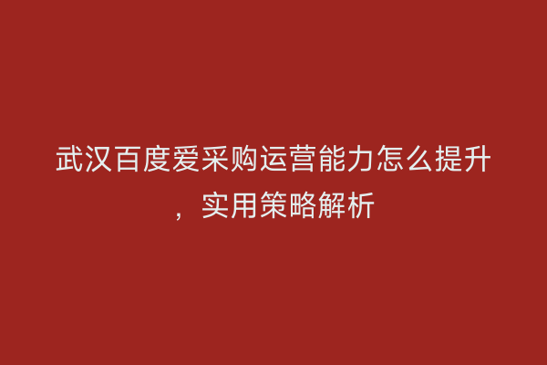 武汉百度爱采购运营能力怎么提升，实用策略解析