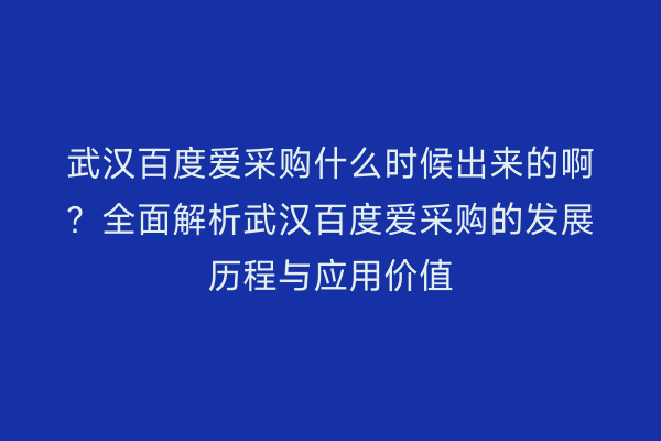 武汉百度爱采购什么时候出来的啊？全面解析武汉百度爱采购的发展历程与应用价值