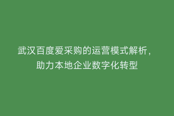 武汉百度爱采购的运营模式解析，助力本地企业数字化转型