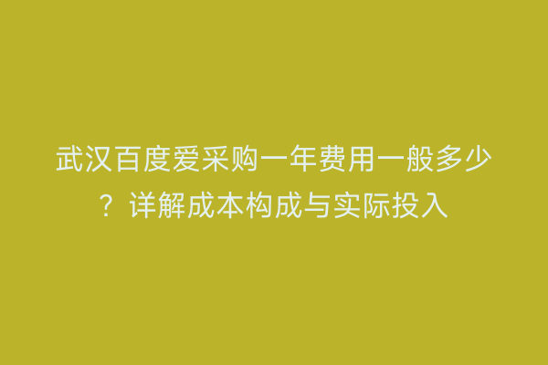 武汉百度爱采购一年费用一般多少？详解成本构成与实际投入