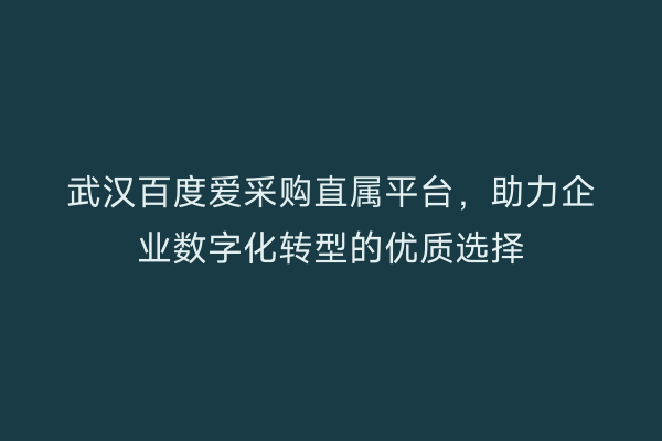 武汉百度爱采购直属平台，助力企业数字化转型的优质选择