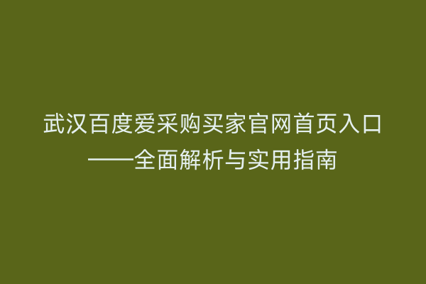 武汉百度爱采购买家官网首页入口——全面解析与实用指南