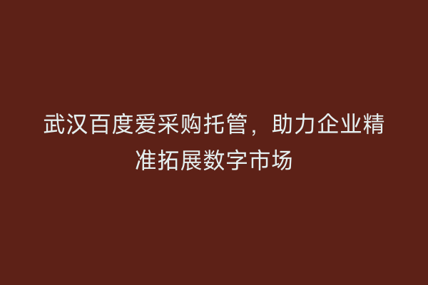 武汉百度爱采购托管，助力企业精准拓展数字市场