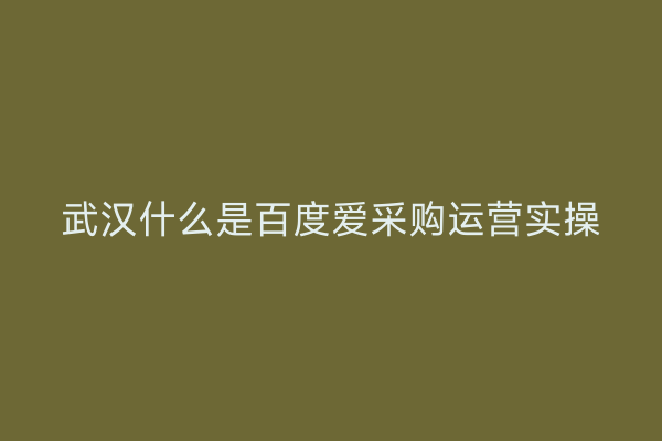 武汉什么是百度爱采购运营实操
