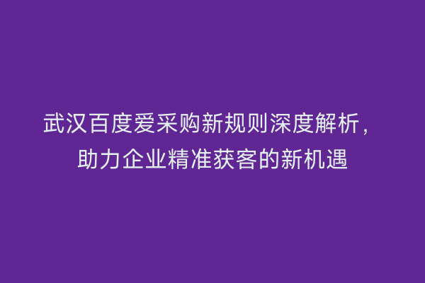 武汉百度爱采购新规则深度解析，助力企业精准获客的新机遇