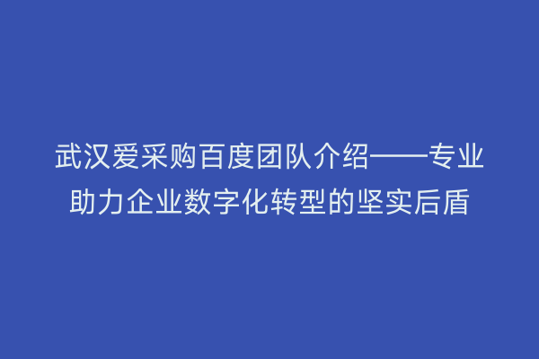 武汉爱采购百度团队介绍——专业助力企业数字化转型的坚实后盾