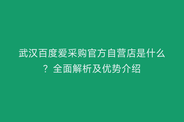 武汉百度爱采购官方自营店是什么？全面解析及优势介绍