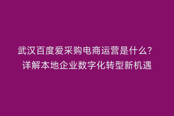 武汉百度爱采购电商运营是什么？详解本地企业数字化转型新机遇