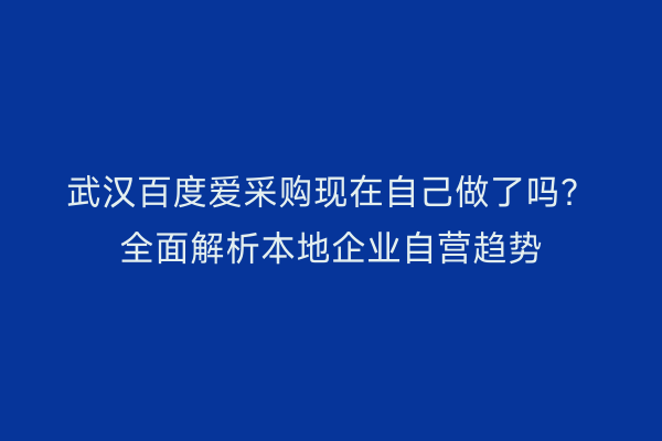 武汉百度爱采购现在自己做了吗？全面解析本地企业自营趋势