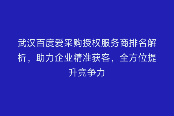 武汉百度爱采购授权服务商排名解析，助力企业精准获客，全方位提升竞争力